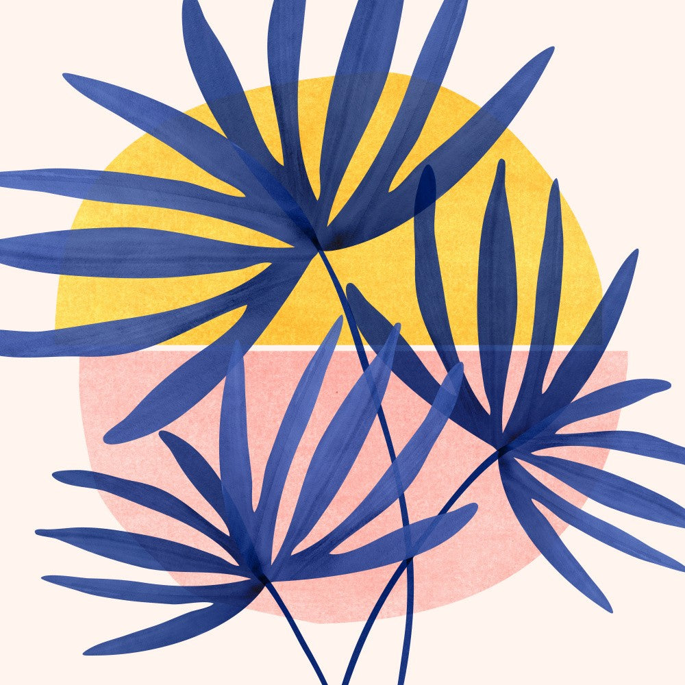 Fan Palm 1