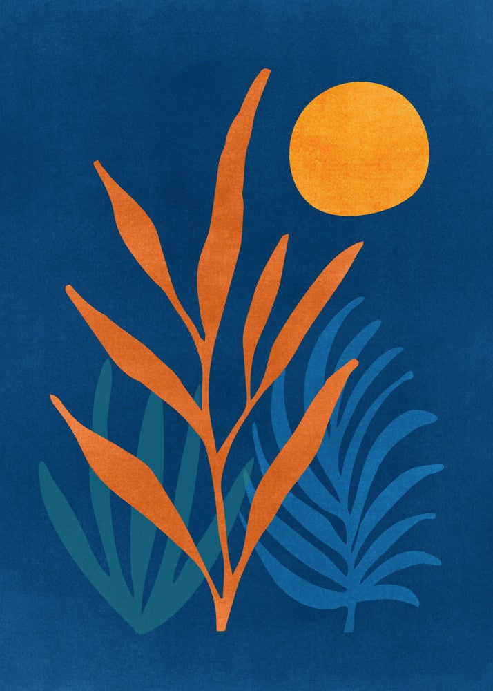 Paysage Nocturne Super Lune.png