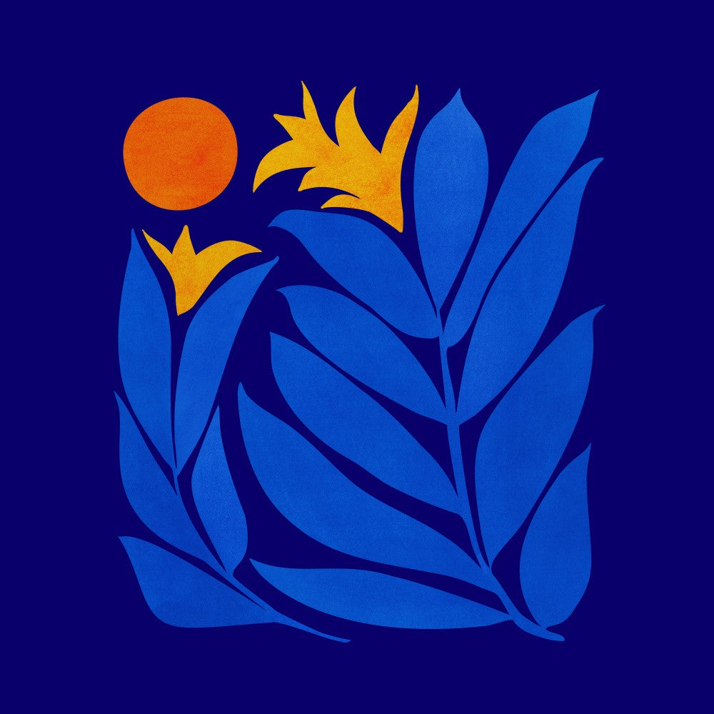Jardin Communautaire de Nuit