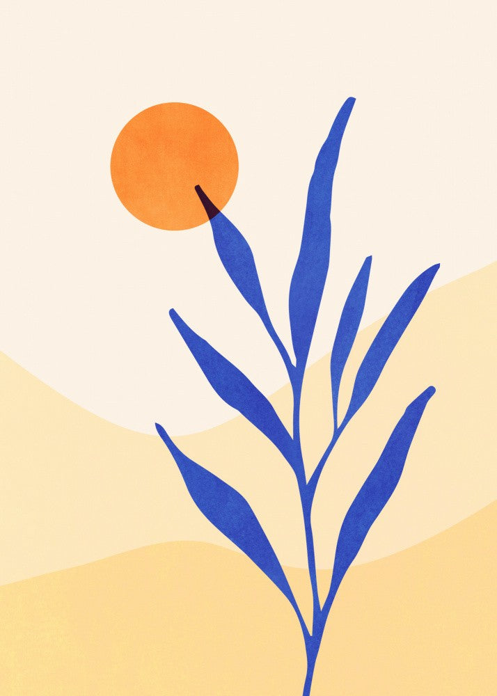 Desert Flora