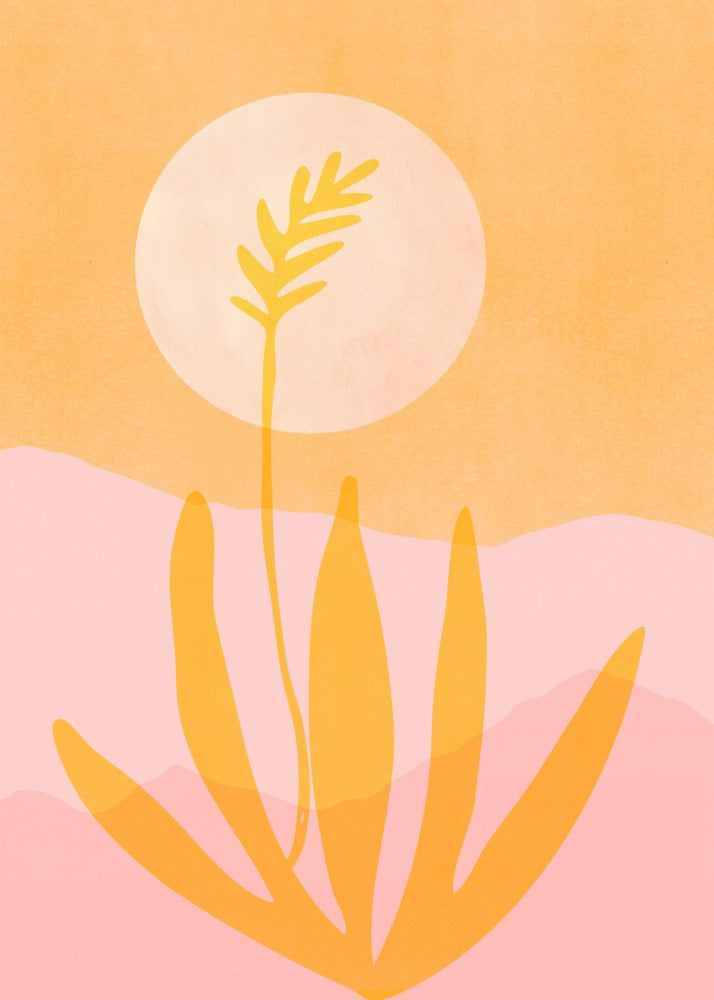 Golden Agave Sunset