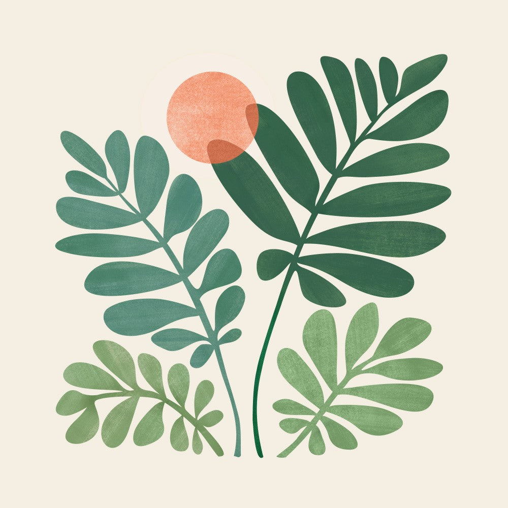 Forest Spirits Border