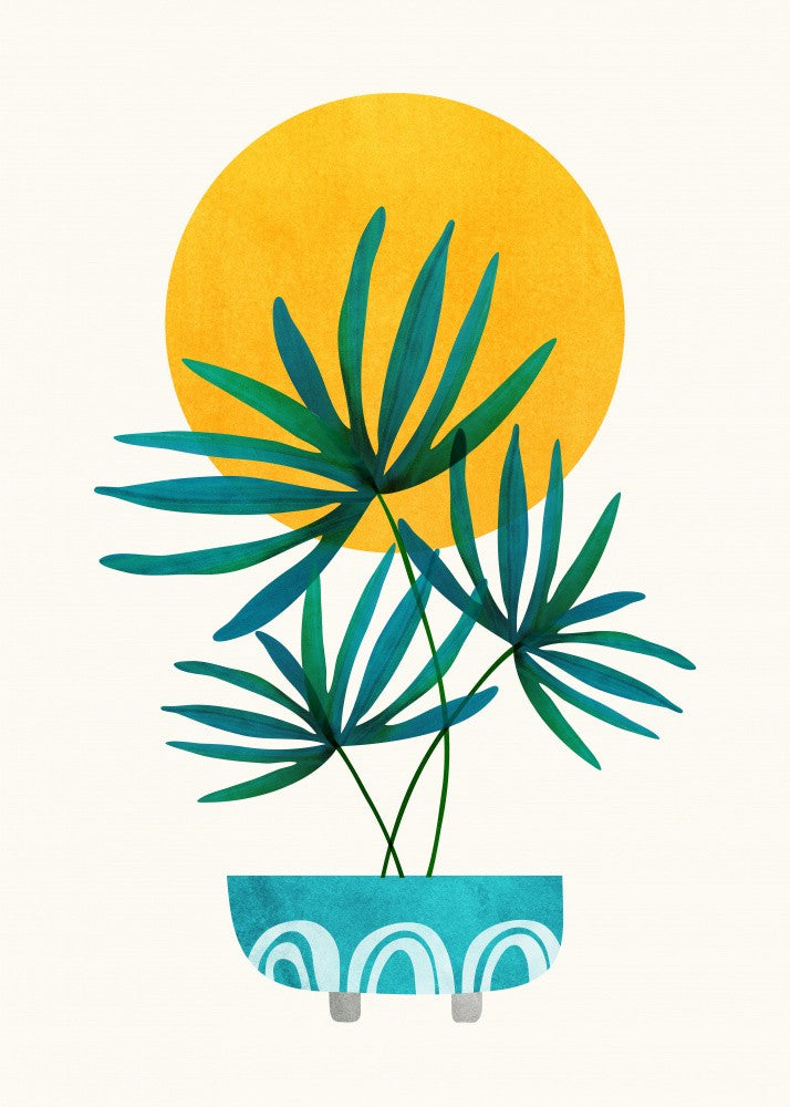 Little Palm and Sunshine