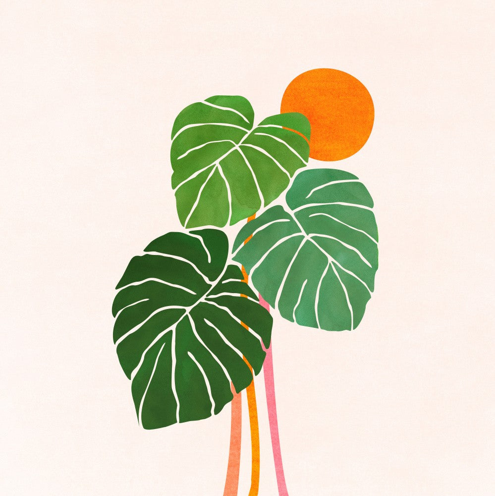 Monstera et Soleil 1 Carré