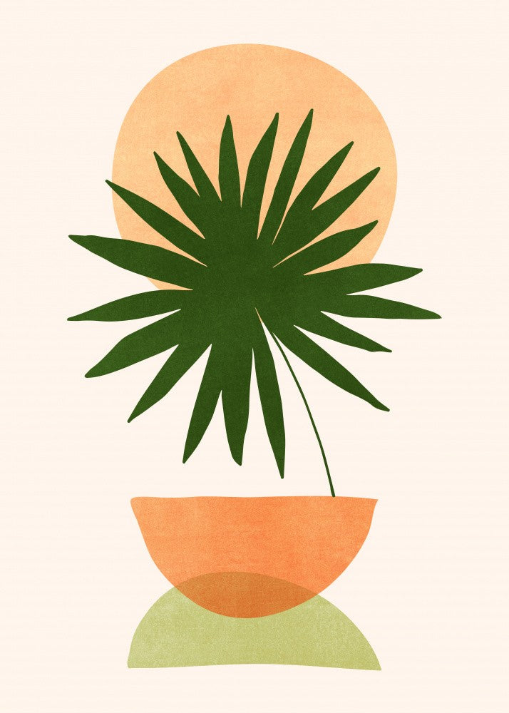 Islands In the Sun 2