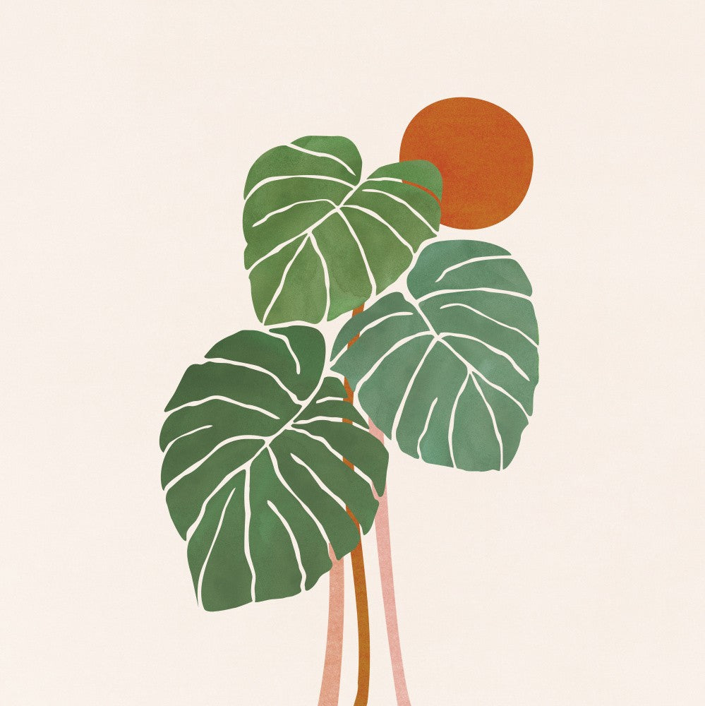 Monstera and Sunshine 2 Sq