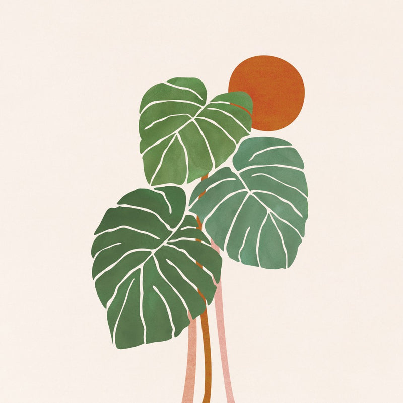 Monstera and Sunshine 2 Sq