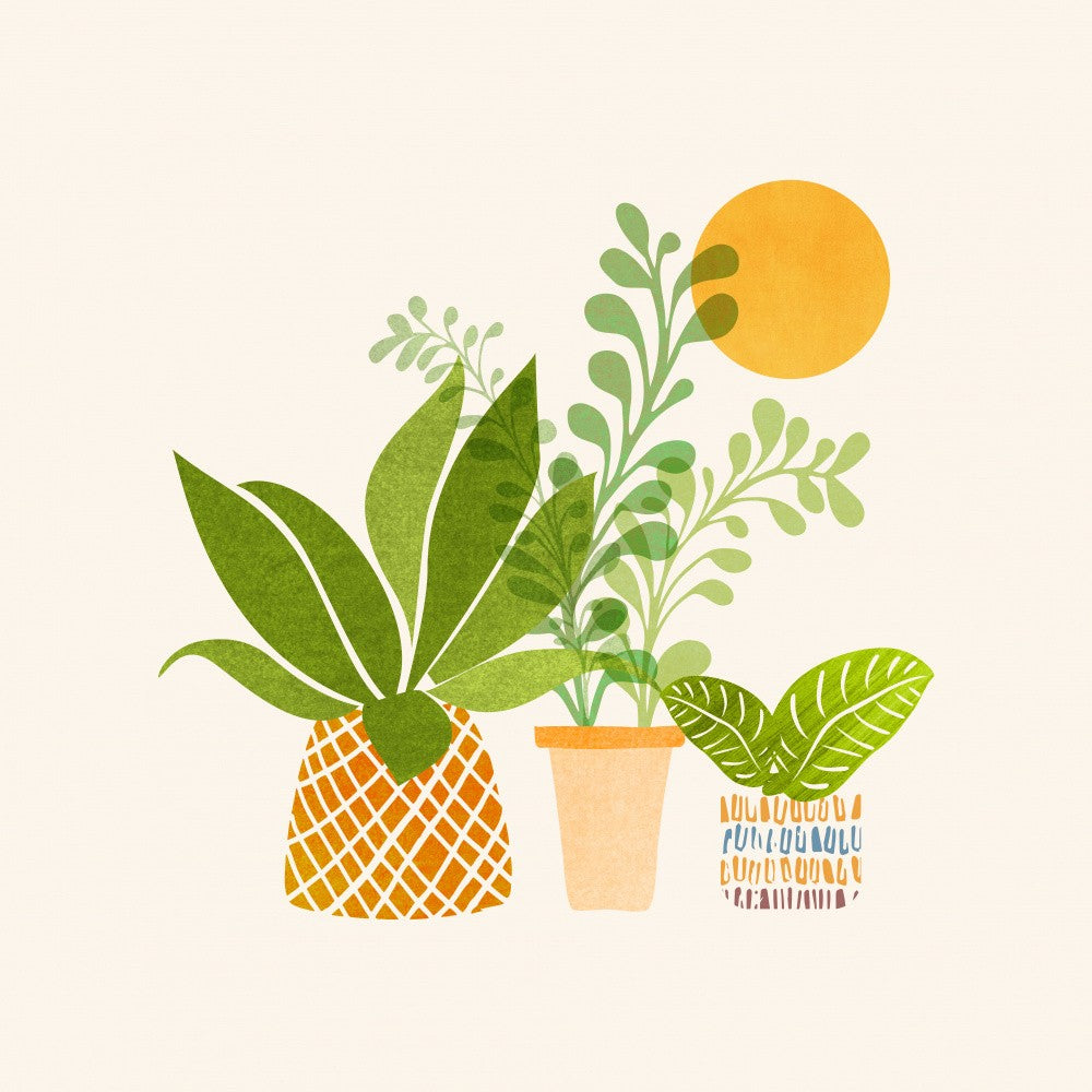 Plant Group 3