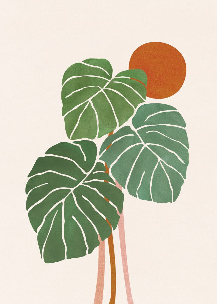 Monstera and Sunshine 2