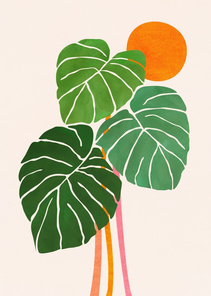Monstera and Sunshine 1.png