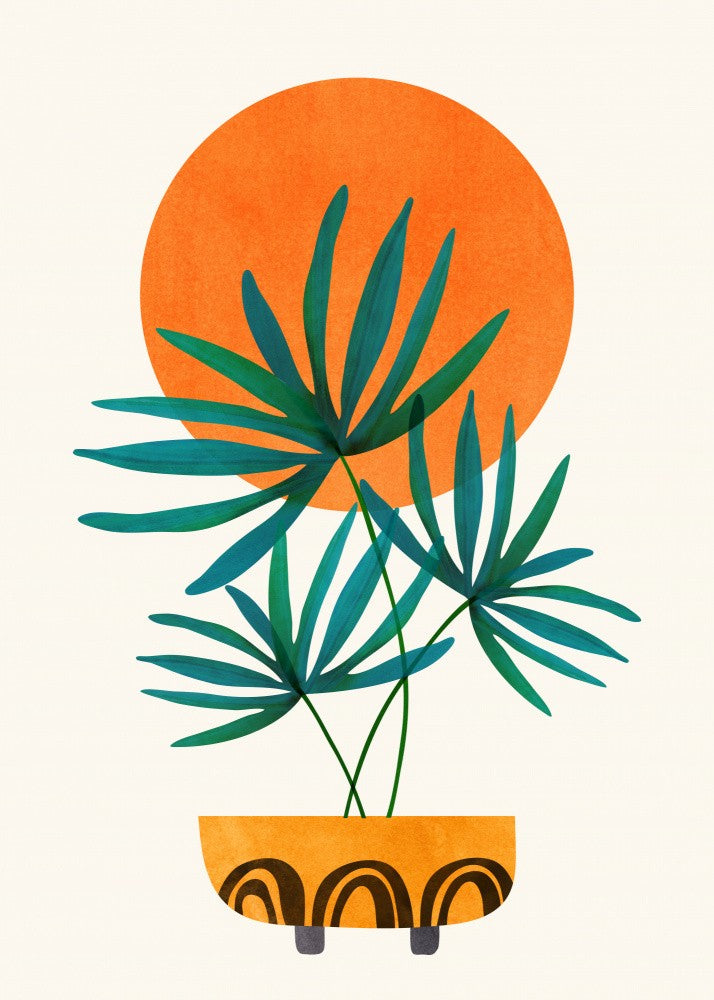 Little Palm and Sunshine 2