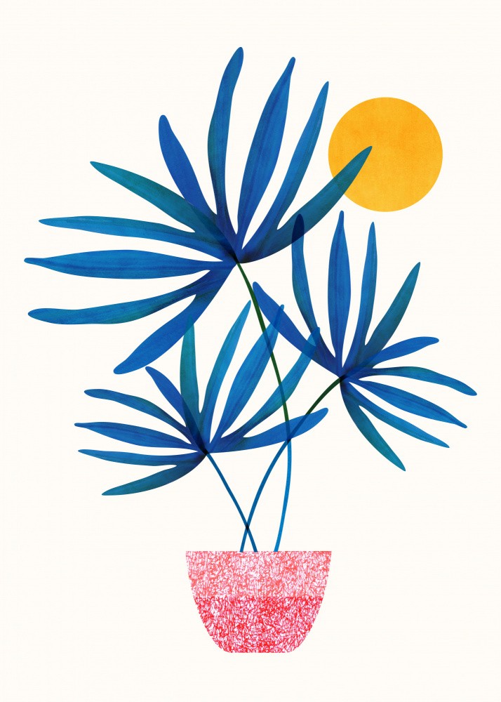 Sunny Palms Blue 5x7