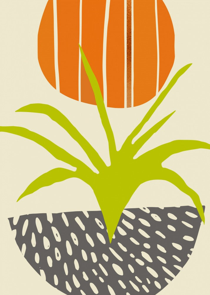 Scandi Summer 3