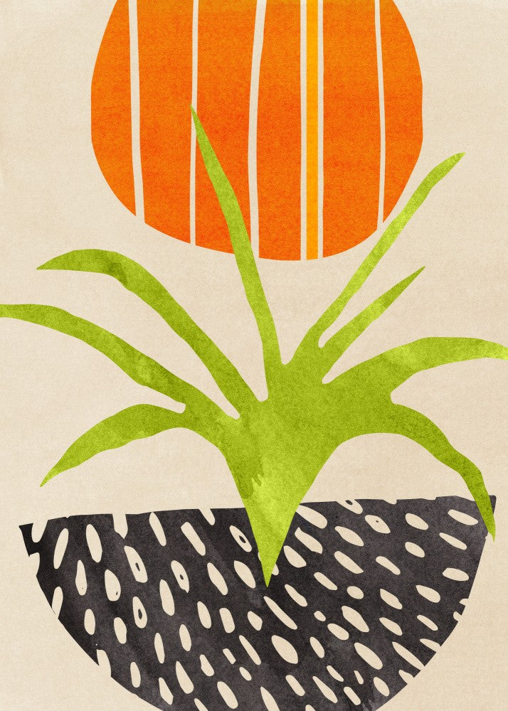 Scandi Summer 2
