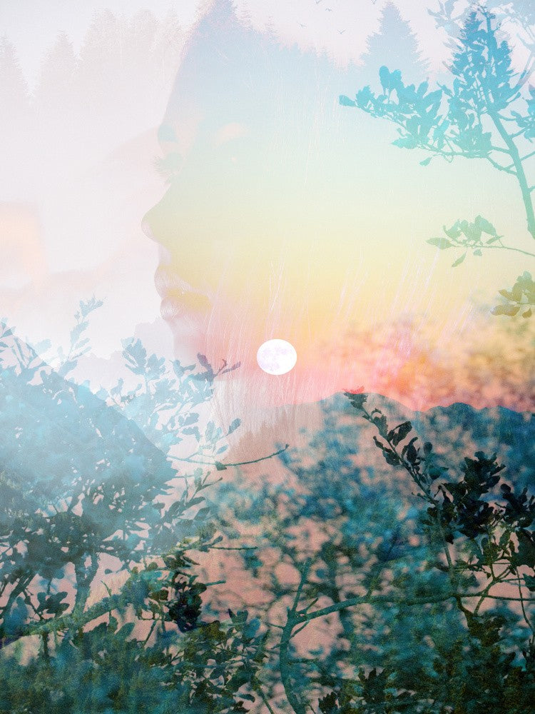 Dream Catcher II