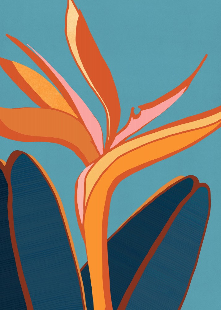 Bird of Paradise 5x7