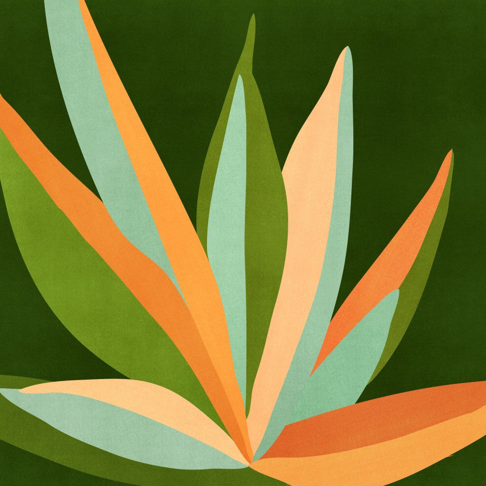 Colorful Agave 3