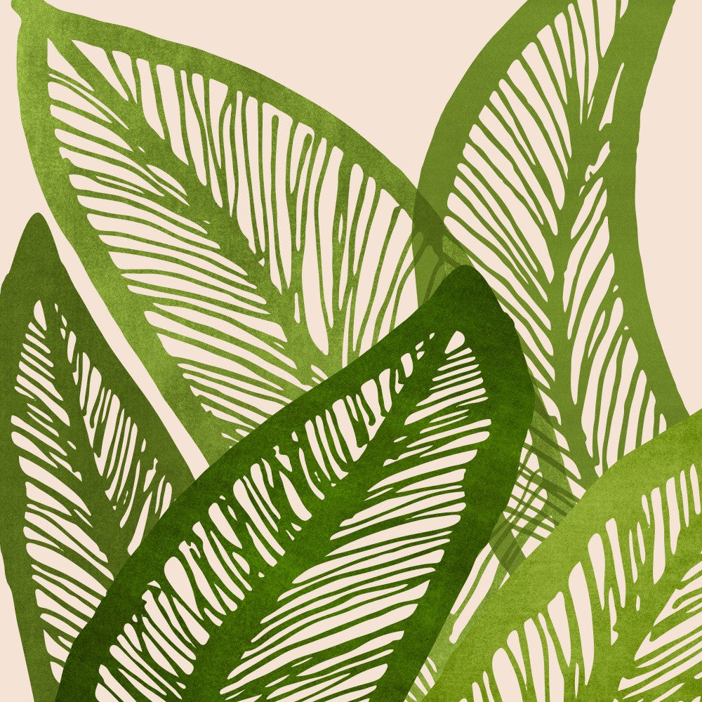 Green Tropics Sq
