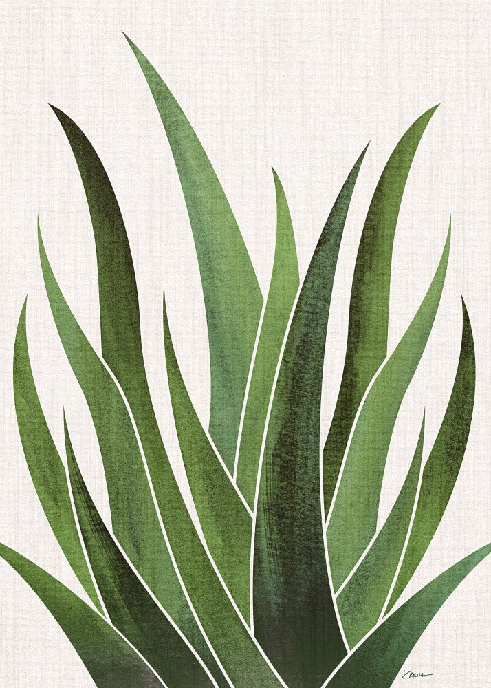 Desert Agave 5