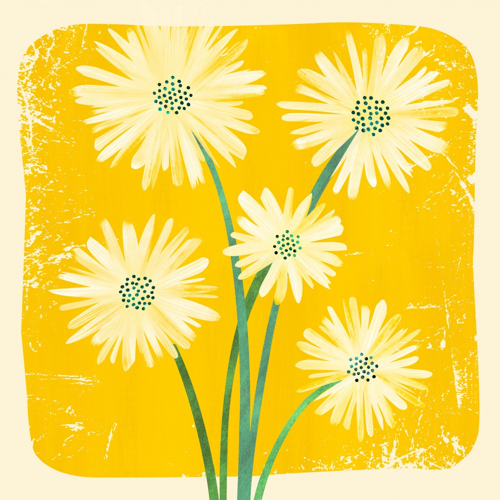 Daisy Bouquet 2