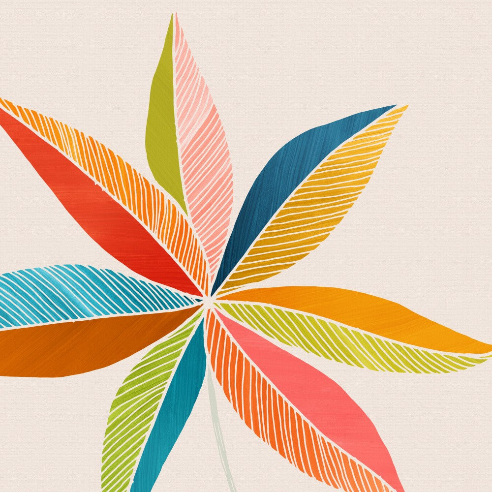 Multicolorful 2