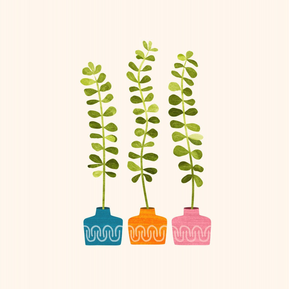 Sweet Sprouts Sq