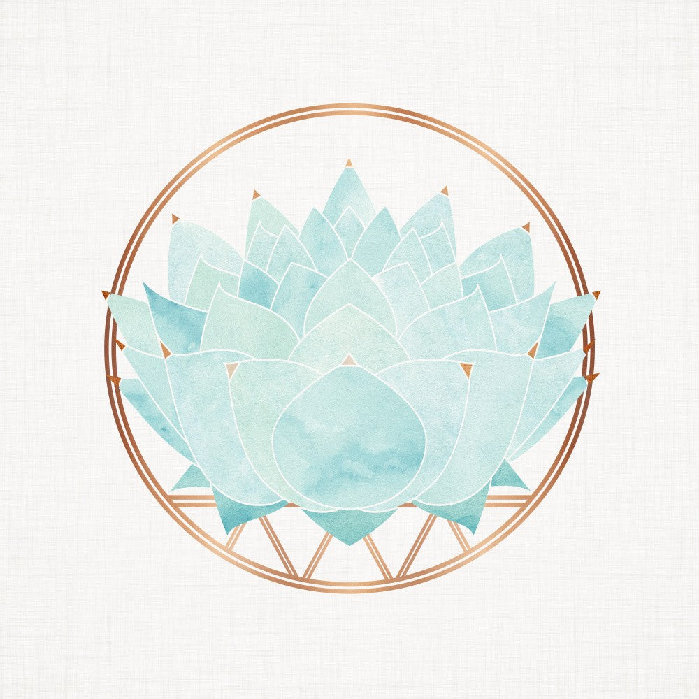 Zen Aqua Succulent