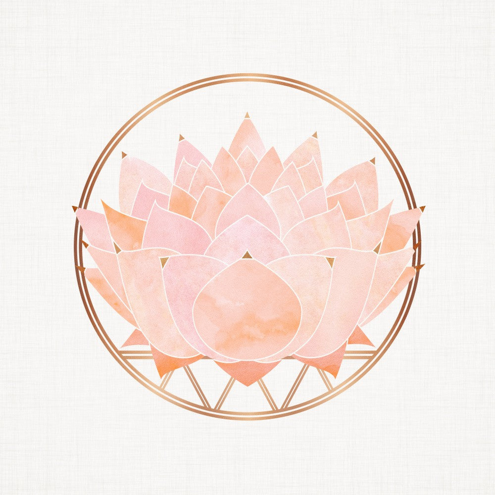 Zen Blush Succulent