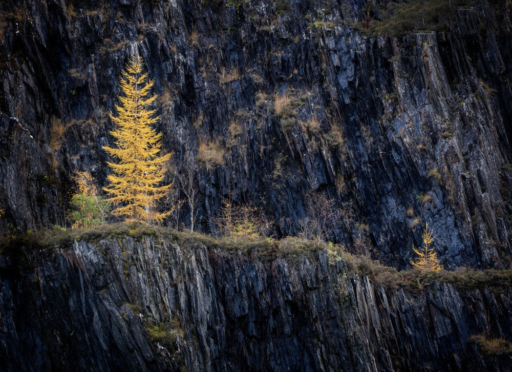 Couleur d'automne