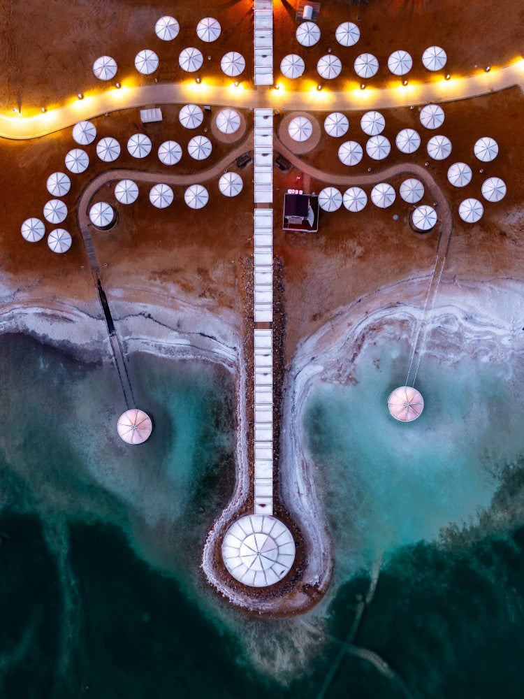 Parasols invasion