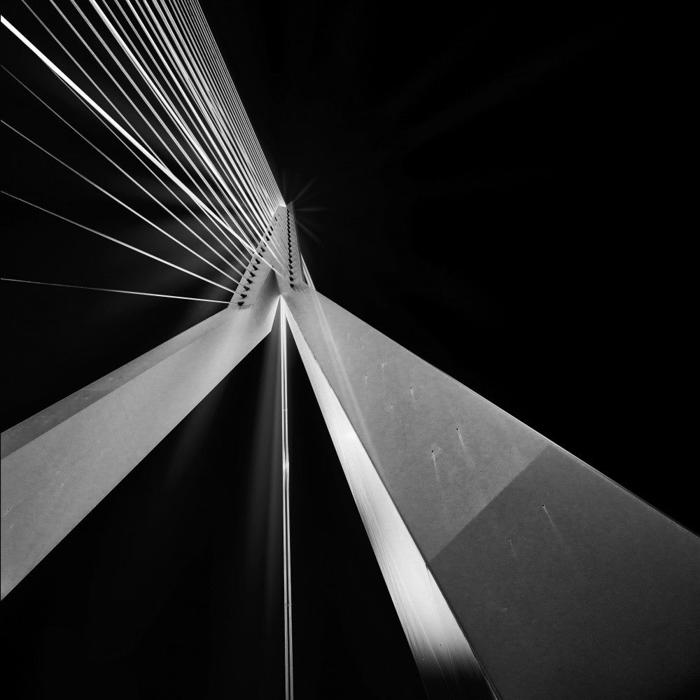 Erasmus Bridge Rotterdam