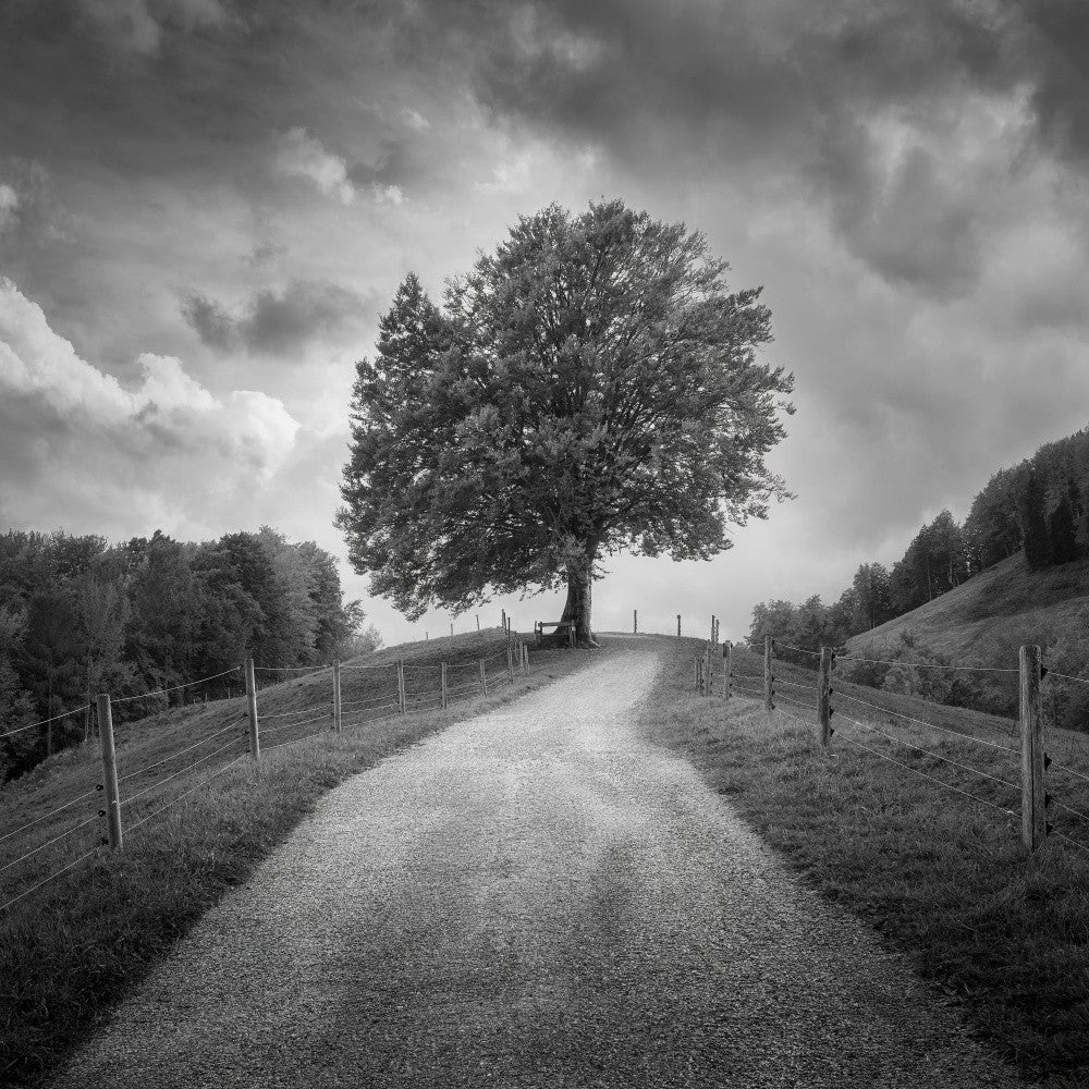 Beneath Black Skies