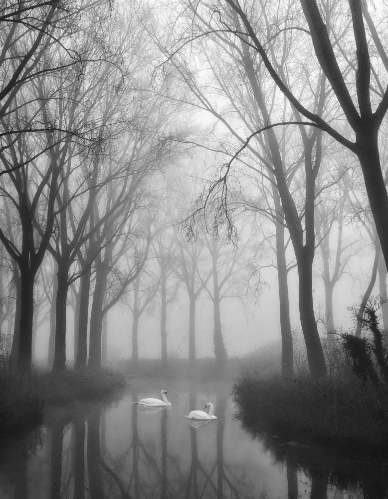 Draped in softness...