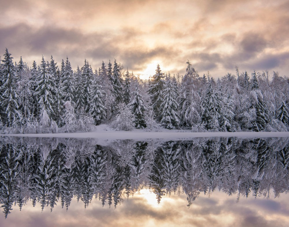 Winters reflection