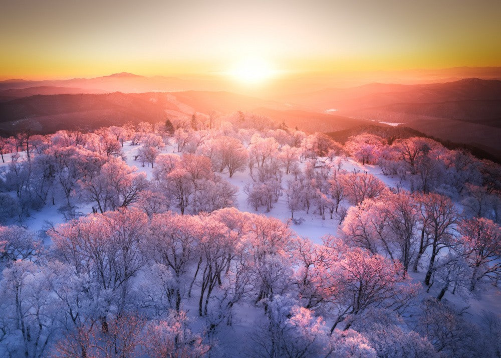 A dreamy foggy sunrise