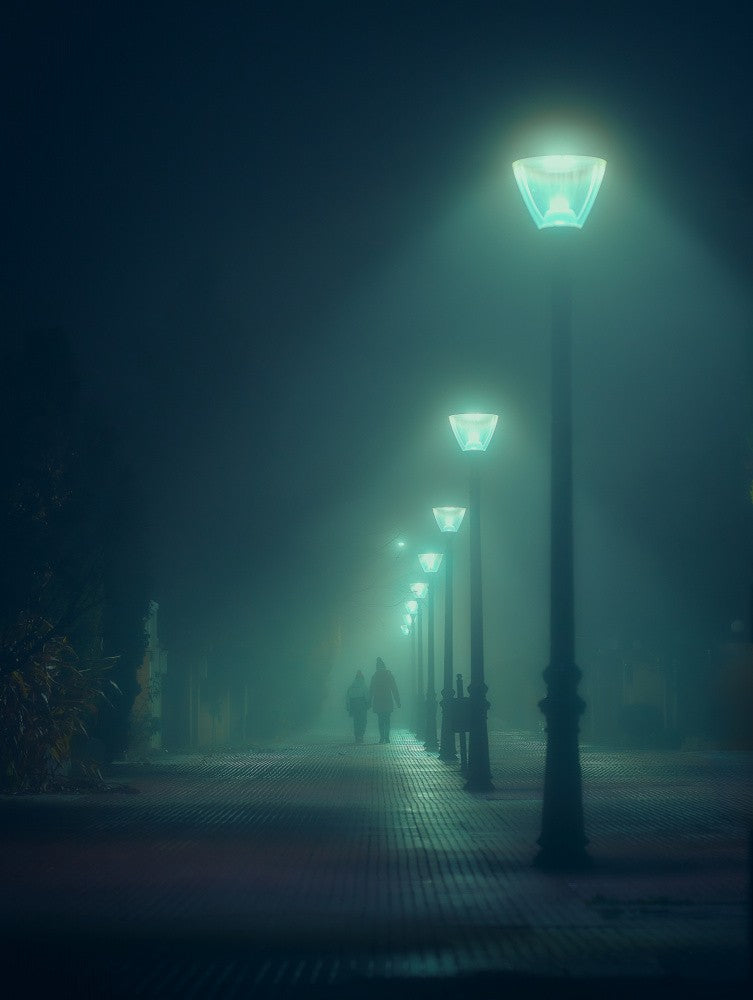 Into the Fog