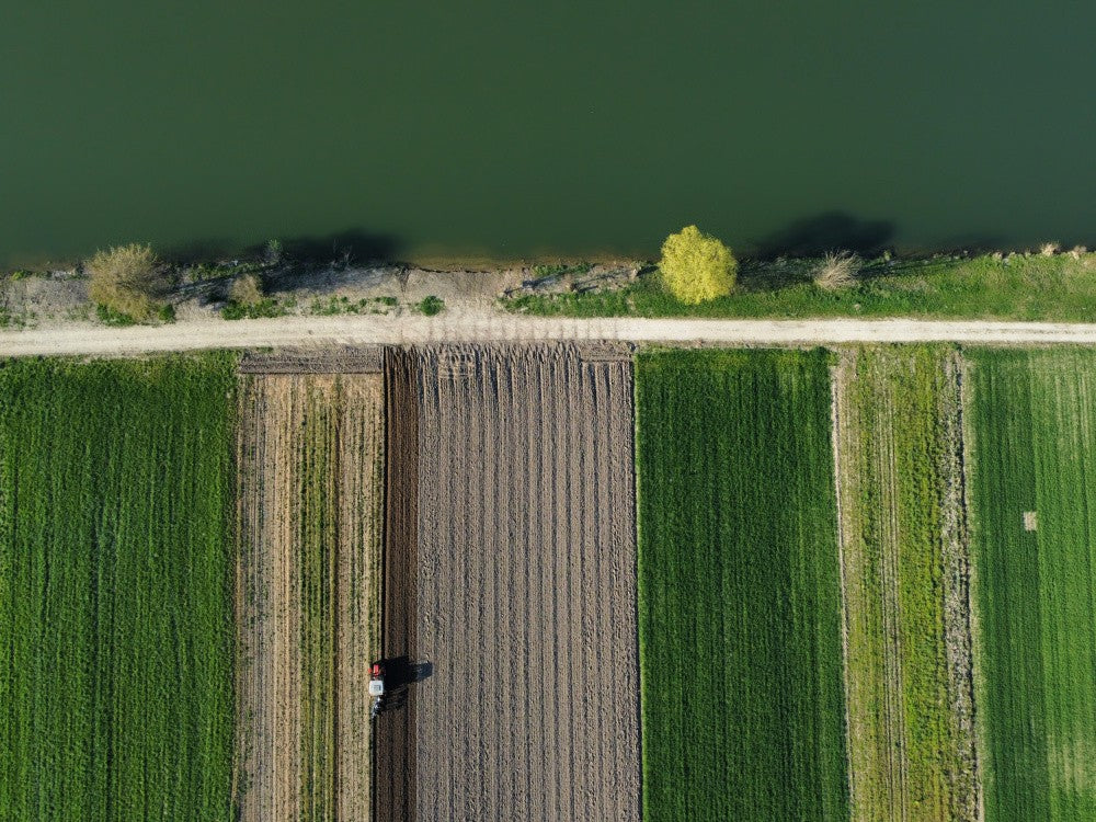 River Sava