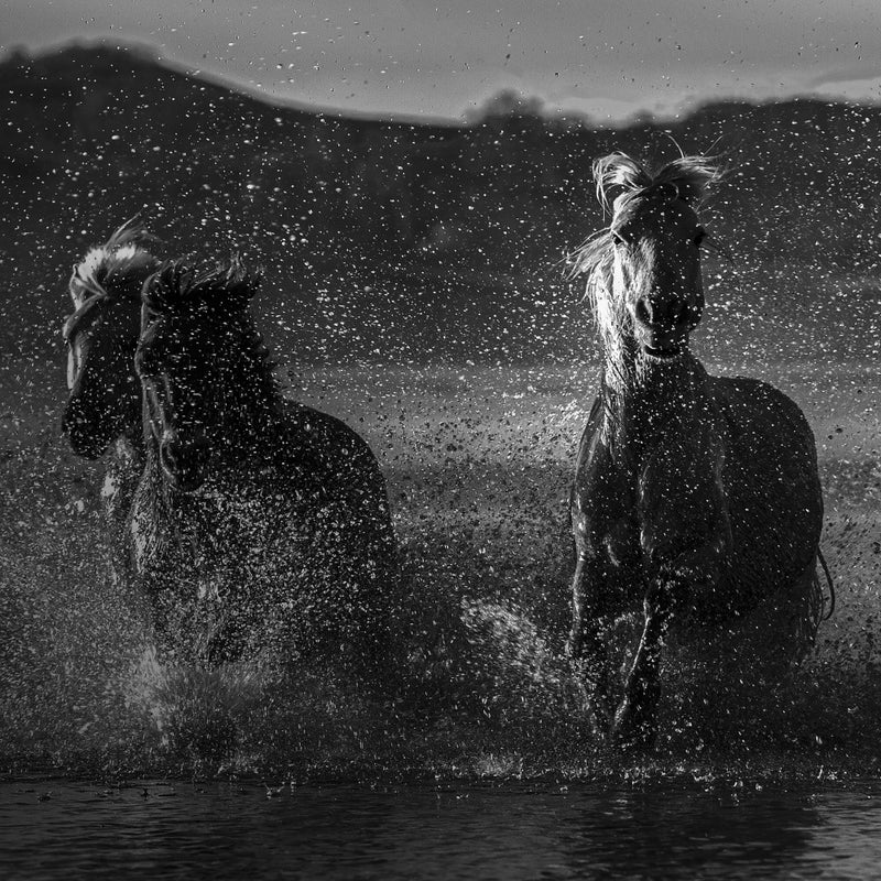 奔马  galloping horse