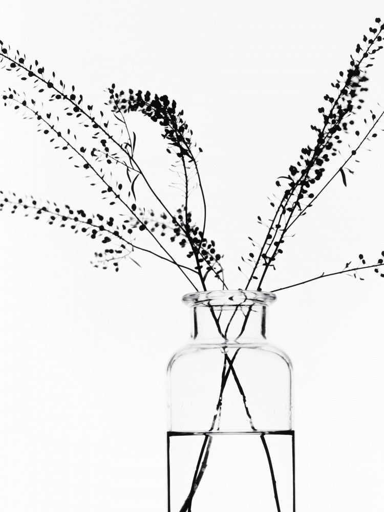 Flasche mit Zweigen