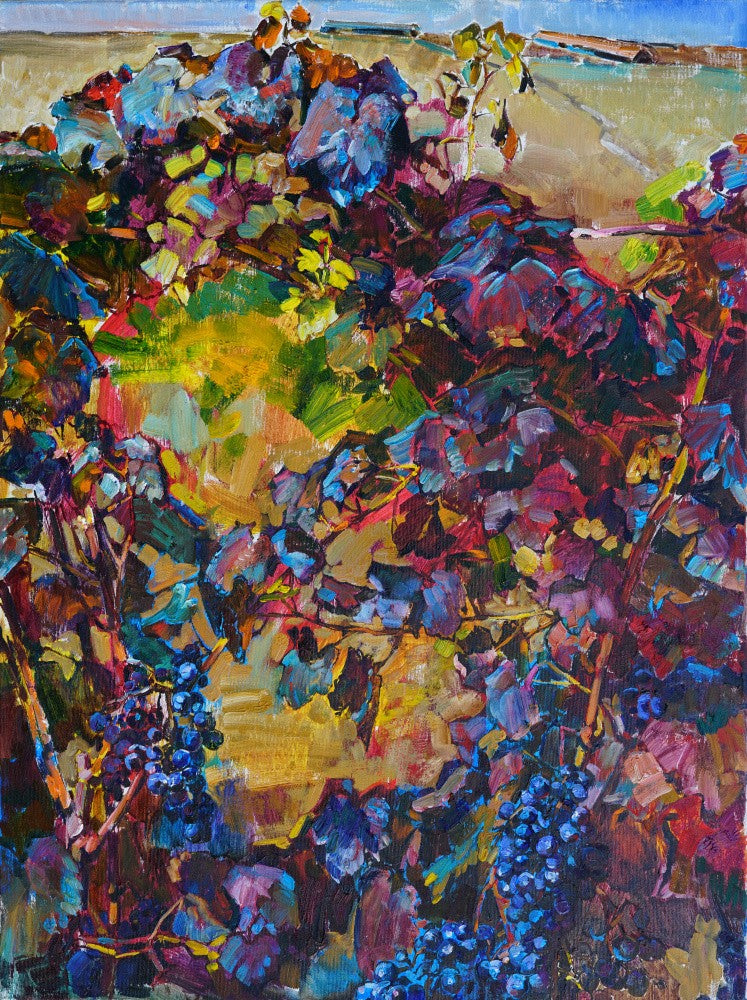Vineyard