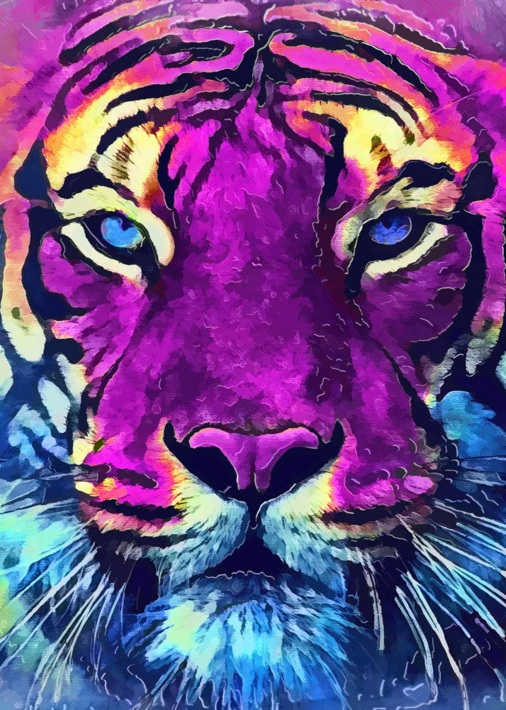 Tiger animal 3