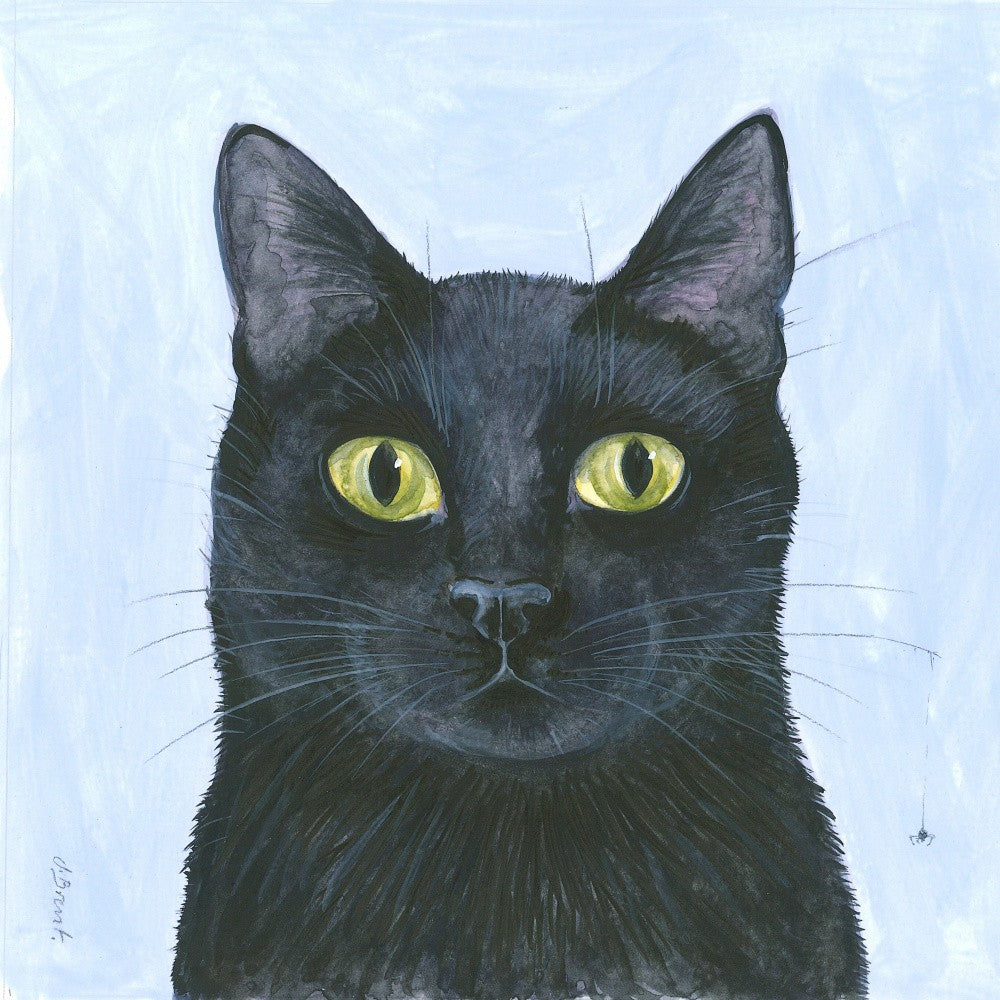   The Cat's Whisker