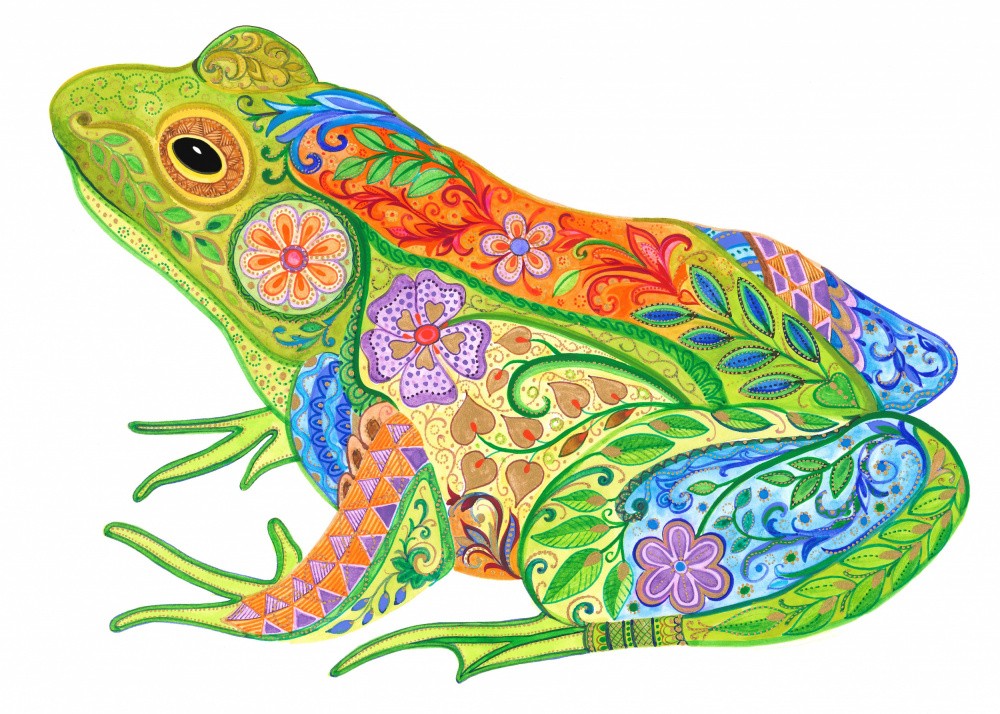 Art Frog