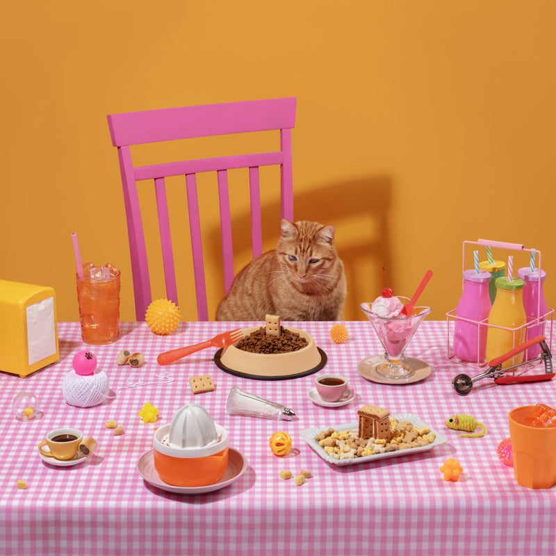 Cat's Colorful Tea Party