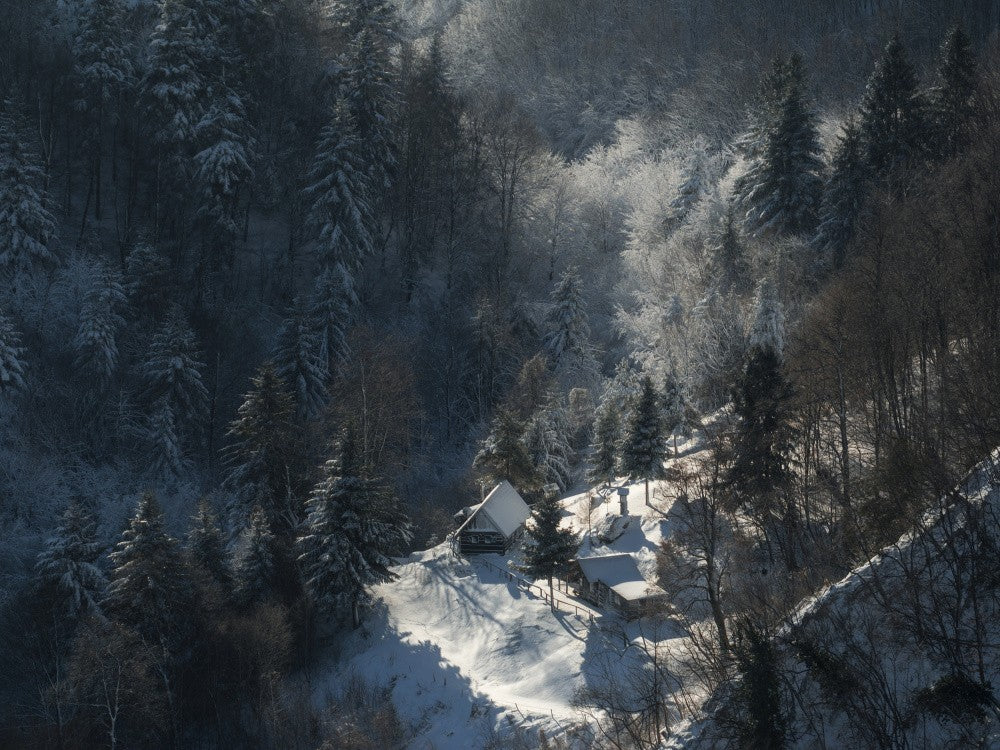 Winter morning