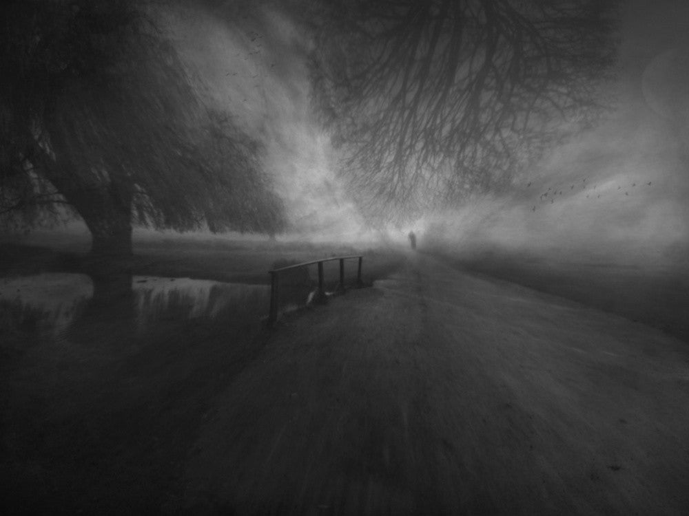 Black and White Evening...