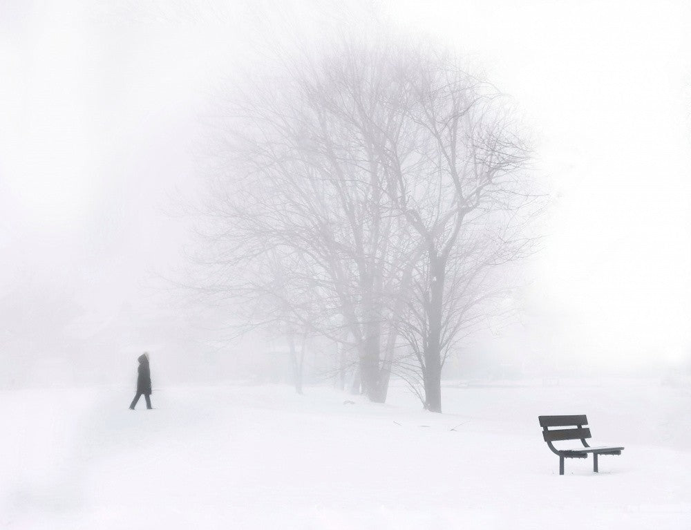 Alone in the Fog