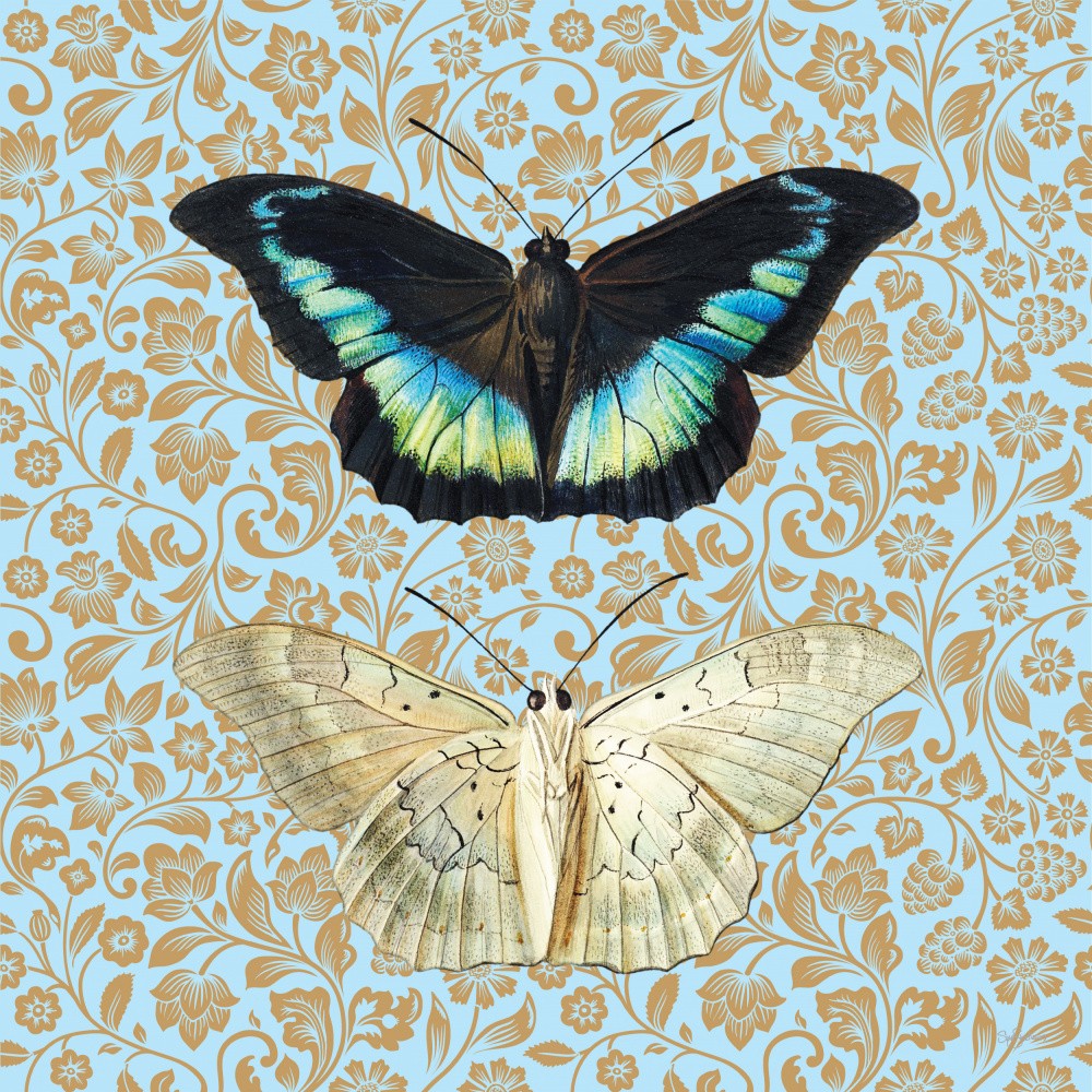 Butterflies