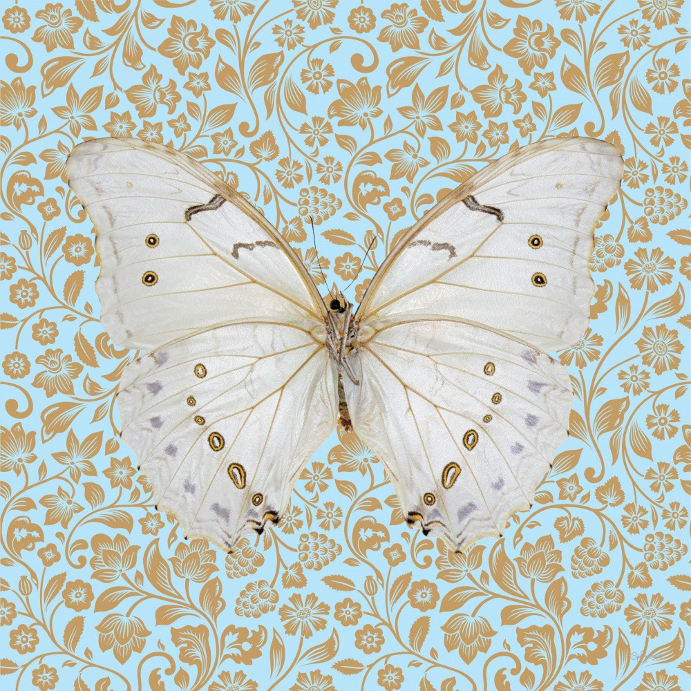 Schmetterling #2