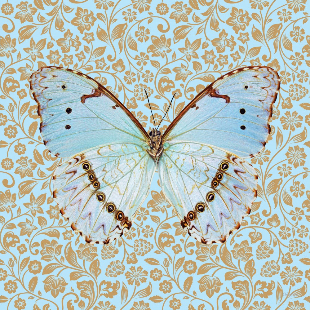 Butterfly #3